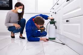 Best Real Estate Pest Inspections  in Montgomeryville, PA